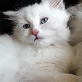 d740cd0a-8b9f-40f1-ab88-07235f7fced6